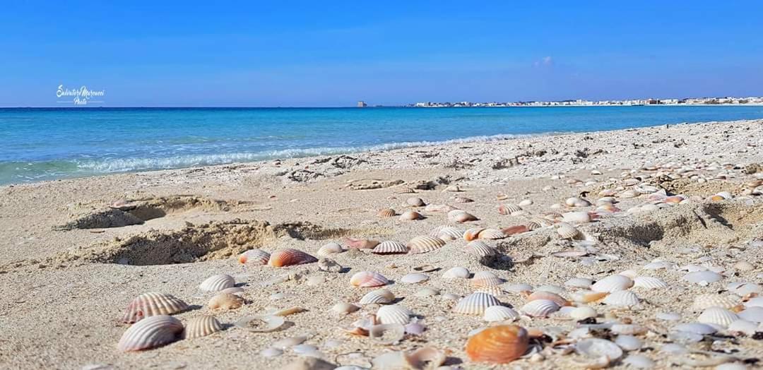 Masseria La Lizza - Ospitalita Rurale Lecce Exteriör bild