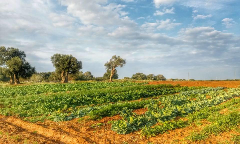 Masseria La Lizza - Ospitalita Rurale Lecce Exteriör bild
